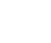  ̹